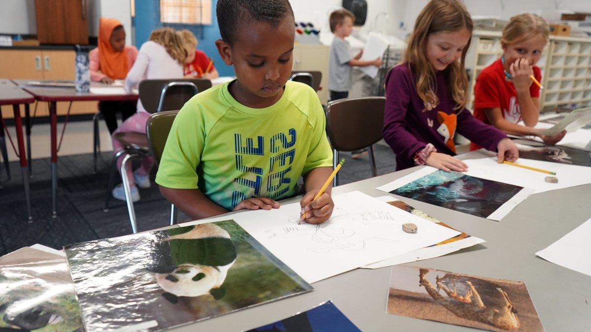 students drawing animal artwork